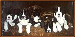 jazzlitter5wk.jpg - 13953 Bytes